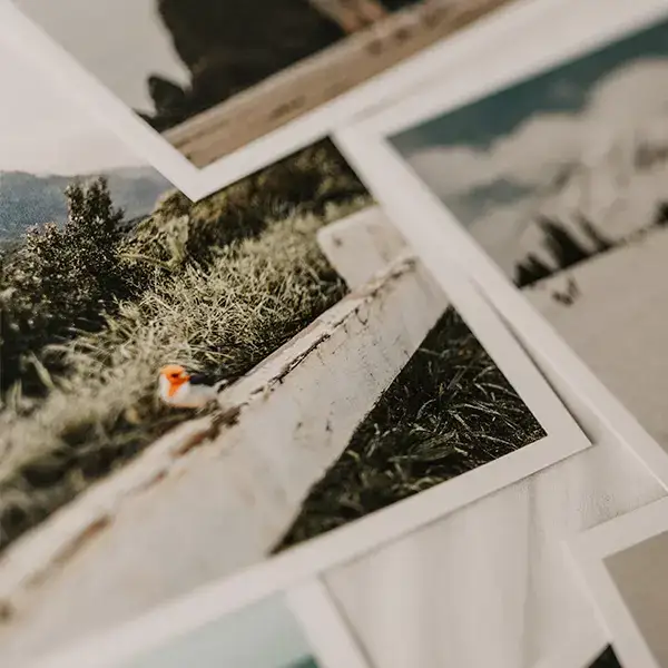 Printed landscape photographs scattered across a light surface